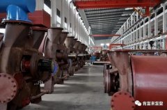 石家庄弘正多媒体制作有限公司被评为2019年度三水区骨干企业